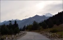 земята земята