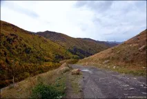 основната ценност сваните