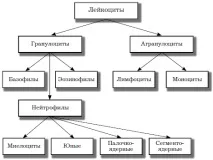 деца деца