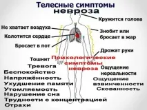 избор сърдечна