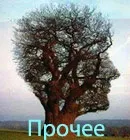 времето