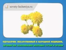 лікарська