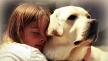 собак