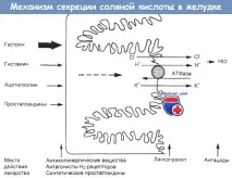 омепразол неговите