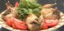 агнешко агнешко
