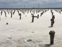 Озеро Баскунчак одноденна подорож до головної «сільнички» країни - Розваги та туризм - одноденна