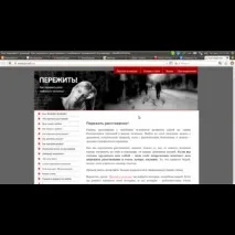 Пережити розлучення пережити