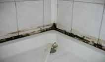 Цвіль у ванній на швах плитки - як почистити відео відео