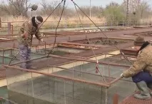 Чому на Кубані жити добре – причини, з яких українці голосують за регіон рублем чому
