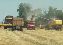 Чому на Кубані жити добре – причини, з яких українці голосують за регіон рублем причини
