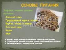 вълнисти пъти седмично