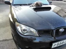 subaru subaru