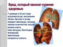 Харчування при глаукомі вітамінні продукти для зору харчування