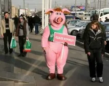 създаване развъждане