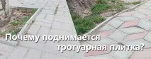 Чому піднімається тротуарна плитка - ПП Скоробогатько плитка