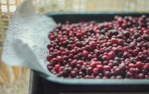 Корисні та лікувальні властивості журавлини та брусниці корисні