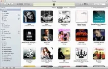 Порядок у медіатеці iTunes, Блог блог