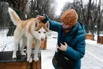 По дорозі з хаски – нова програма реабілітації дітей хаски
