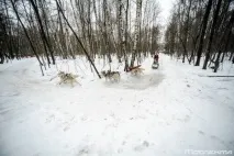 По дорозі з хаски – нова програма реабілітації дітей хаски