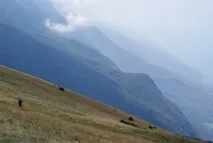 малчезине разходка