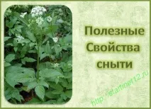 Користь снить для здоров’я снить