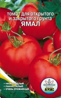 отглеждането Доматите Ямал