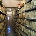 Злочинець - пошук слів за маскою та визначенням, відповіді на сканворди пошук