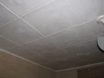 таванна шевове