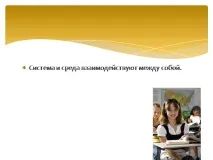 среда