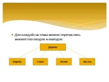 околна