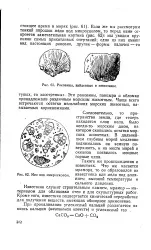 голяма земя