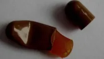 essentiale essentiale