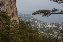 Южното крайбрежие процедура