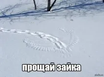 Про те, як заєць від лисиці йшов шкода