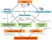 Протизапальна терапія хронічної обструктивної хвороби легень сьогодення та майбутнє обструктивної