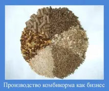 Виробництво комбікорму як бізнес виробництво