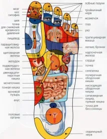 внутрішніх
