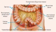 ректосигмоидната връзка ректосигмоидния възел