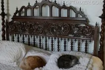 П’ятдесят сім котів Хемінгуея, SOFTMIXER хемінгуея