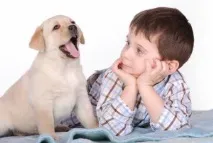 баби дядовци дете