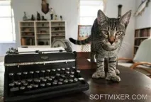 П’ятдесят сім котів Хемінгуея, SOFTMIXER ятдесят