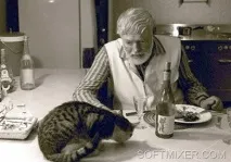 П’ятдесят сім котів Хемінгуея, SOFTMIXER ятдесят