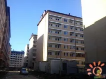 лента лента