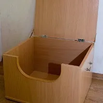 Розведення кошенят розведення