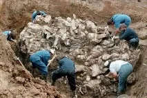 Різанина в Сребрениці в 1995 році причини 1995