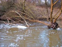 размирни води