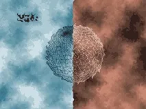 ритмични Ритмичните жестове