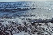 Алтай Яровое