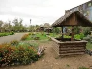 аптеките