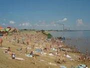 Алтай Яровое